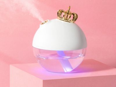 禮（lǐ）品_矽膠（jiāo）加濕器