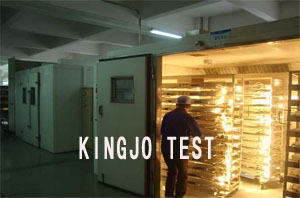 大型（xíng）恒溫（wēn）恒濕試（shì）驗箱（xiāng）