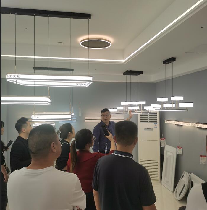 草莓视频在线智能照(zhào)明 | 明星經銷商(shāng)座談會暨24年春季新品調(diào)研會