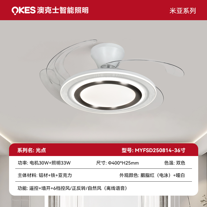 光（guāng）點 風扇燈